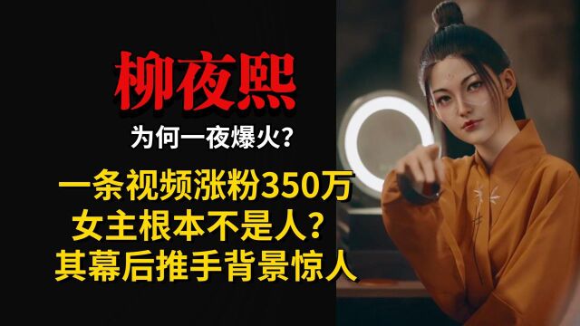 一条视频涨粉350万,女主却不是人,柳夜熙为何一夜爆火?幕后推手背景惊人