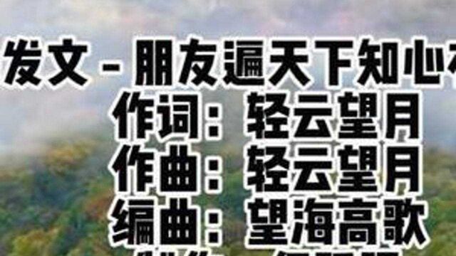 杨发文  朋友遍天下知心有几人 作词:轻云望月 作曲:轻云望月