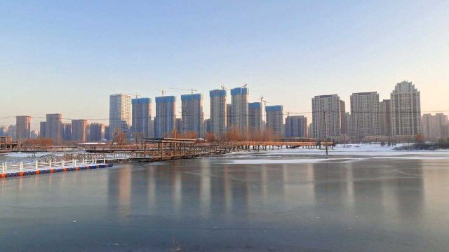 东北哈尔滨的外滩湿地,白雪皑皑水面全部都结冰了,北国风光迷人