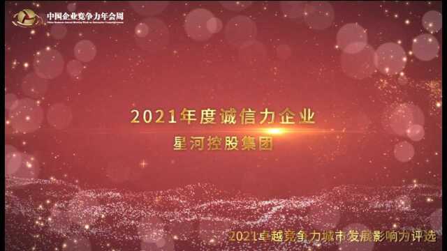 2021年度诚信力企业星河控股集团