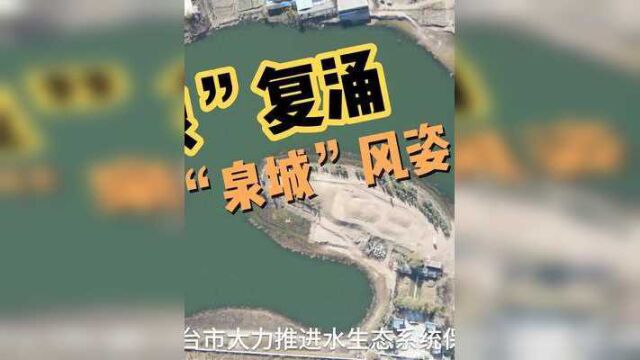 邢台“百泉”复涌 再现“泉城”风姿