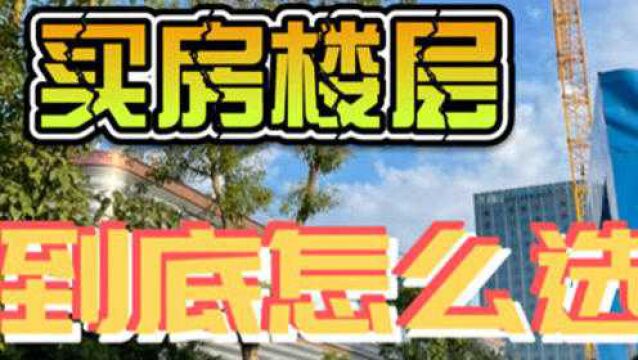 买房楼层到底怎么选?建议看完这个视频再做决定#买房