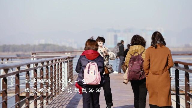 原生态自然美!南京鱼嘴湿地公园,处处是风景