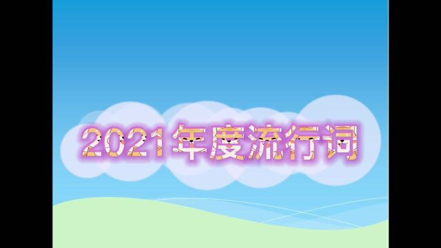 2021年度流行语