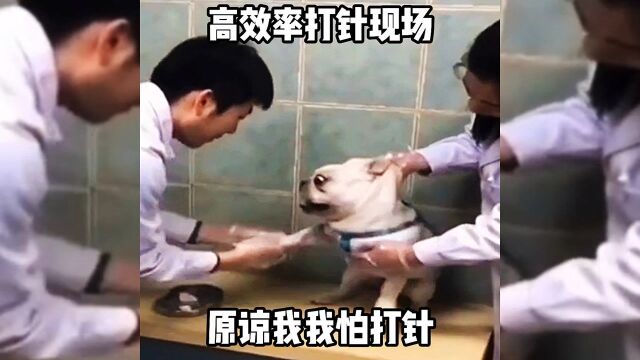 打针也是有方式方法的