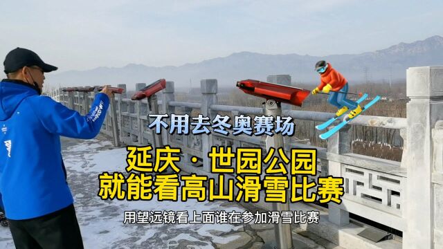 不进冬奥赛场,在延庆这个公园也可以远观高山滑雪比赛