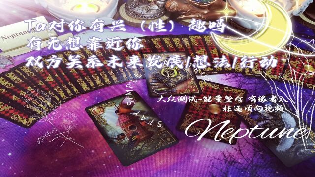 黑猫Tarot,Ta对你有兴趣吗,有无想靠近你想法