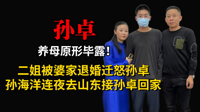 养母原形毕露二姐被婆家退婚迁怒孙卓孙海洋连夜接孙卓回家