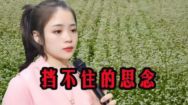 一首情歌《挡不住的思念》歌曲旋律优美!声声呼唤不息!