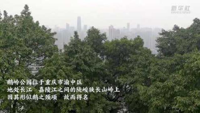 重庆:百年名园展新颜