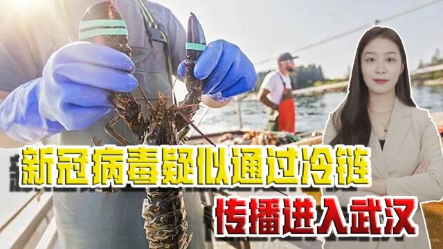 新冠病毒溯源又一证据?外媒:武汉海鲜市场的病毒疑似来自美国