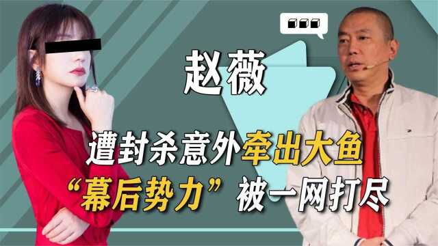 赵薇被民生告上法庭,背后的“大鱼”浮出水面,大佬马云牵连其中