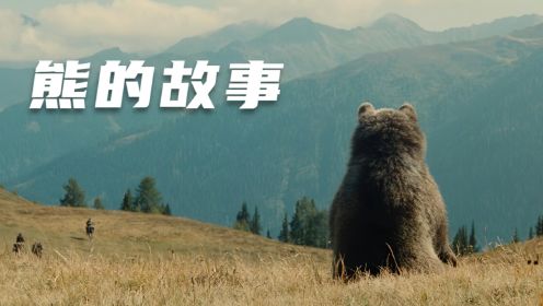 真实事件改编熊的故事 1988年拍的电影 太感人了
