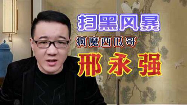 扫黑故事:不仅被顾客殴打,更是辱骂重病妻儿,邢永强终下狠手