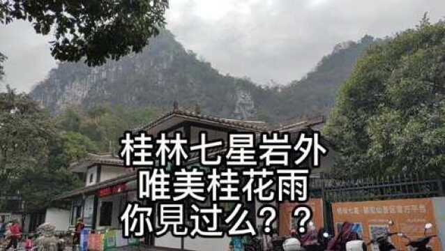 奇香浪漫的桂花雨,你见过么?山水甲天下的桂林,,