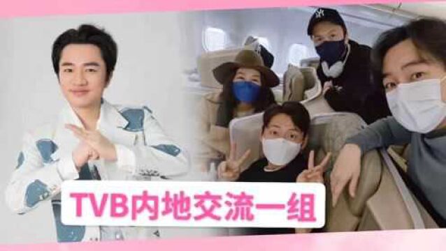 TVB内地交流组合来啦!王祖蓝晒与高海宁王浩信等人合影