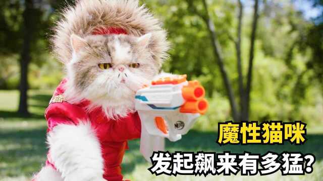 猫咪要开演唱会,结果遇到坏蛋过来捣乱,不料猫咪发飙比老虎还猛