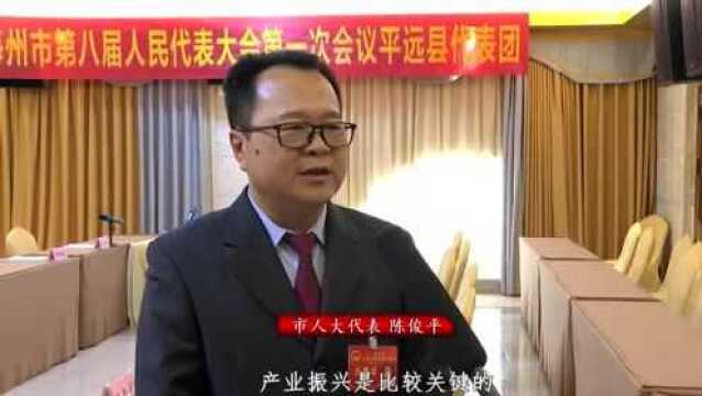 平远代表团热议市政府工作报告等:狠抓发展第一要务 凝心聚力做大做强实体经济