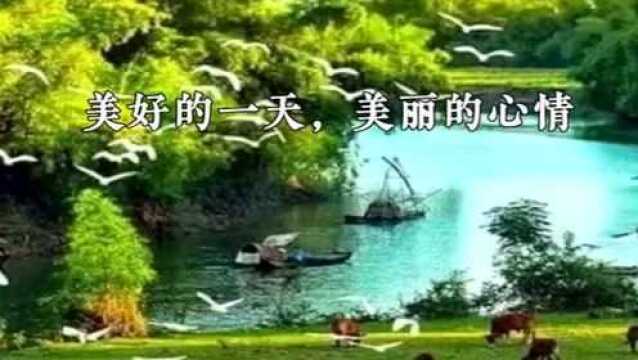 美好的一天,美丽的心情!