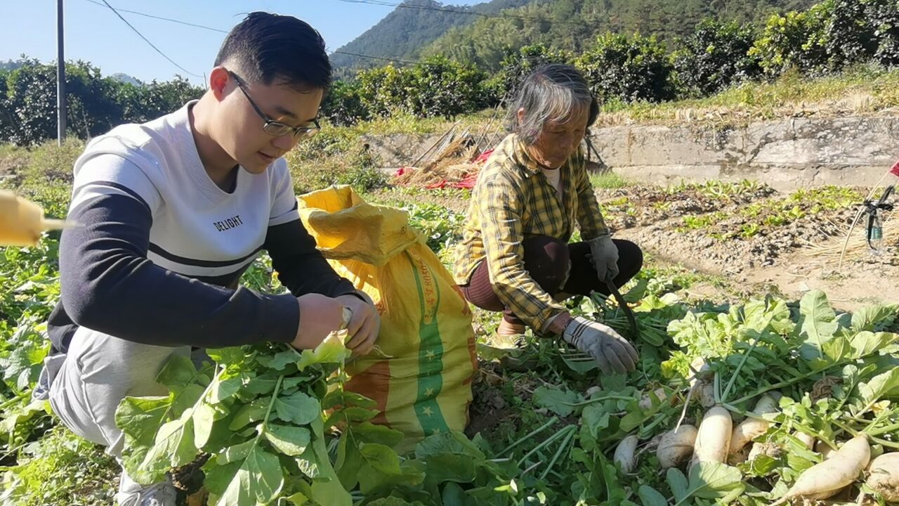 农村70岁奶奶做萝卜干手艺独特,五腌五晒,一年不坏,配腊肉绝了