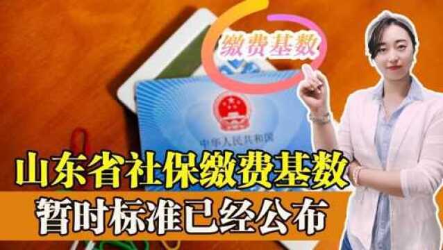 山东省2022年社保缴费基数暂时标准已公布!这三点要注意多退少补