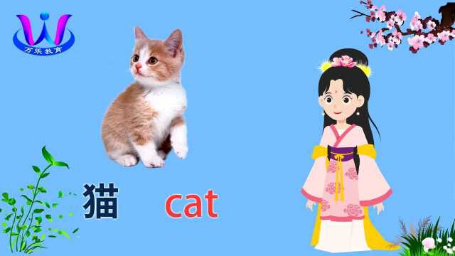 幼儿启蒙英语:猪牛马羊鸭等家禽动物单词