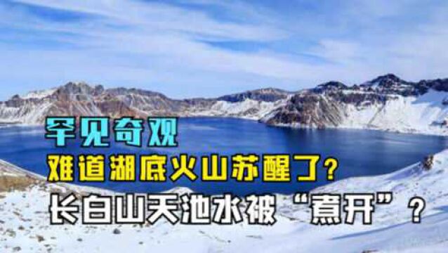 又一火山苏醒?长白山天池水被“煮开”?湖水竟然在冒泡