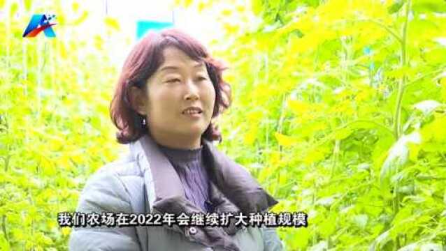 新春走基层|官庄镇:智慧农业“照亮”乡村振兴路