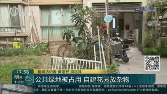 公共绿地被占用 自建花园放杂物