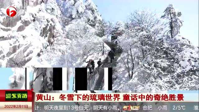 【视频】冬雪下的琉璃世界