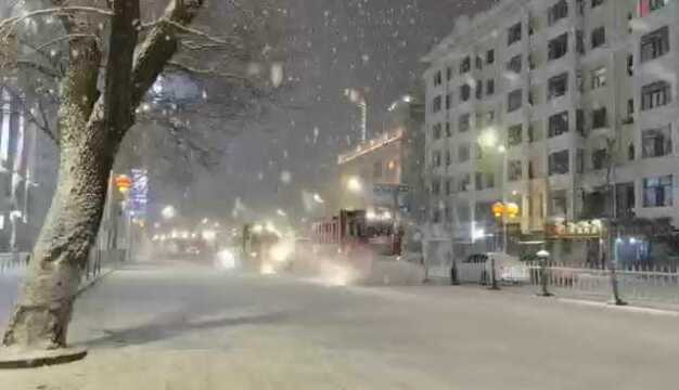 以雪为令 即下即清 哈尔滨市道里区全力保障道路畅通