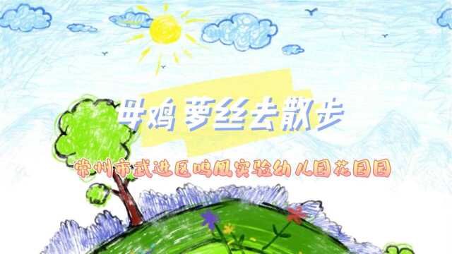 常州市武进区鸣凰实验幼儿园花园园 杨彩萍 蔡琪《母鸡萝丝去散步》