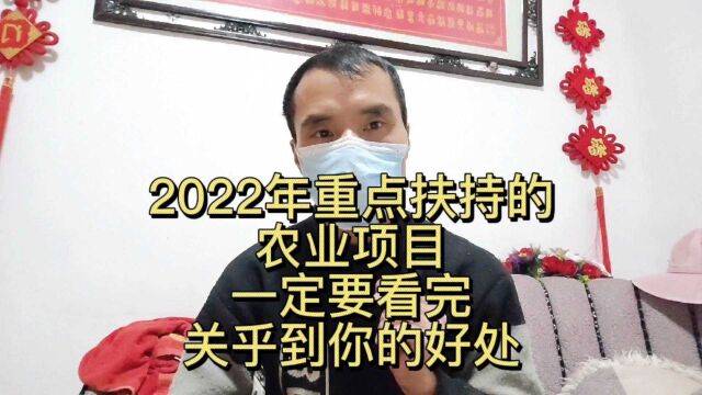 2022年重点扶持的4个农业项目!关乎到你的好处!