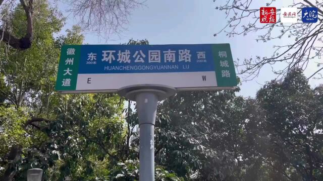 一条路两个名 合肥市民有点懵