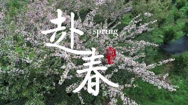 踏春 | 带上好心情,在这春暖花开的日子里,来蒲江见一面吧!