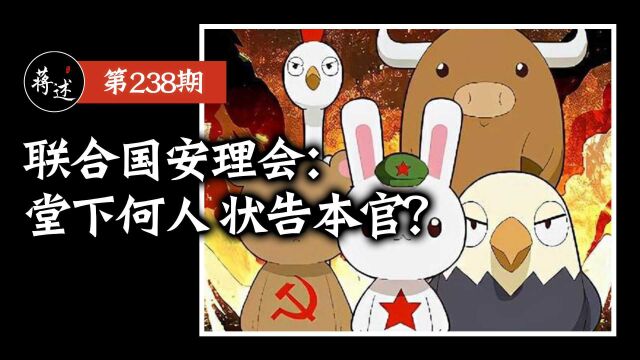 蒋述丨联合国安理会是个什么机构?分管安全的吗?