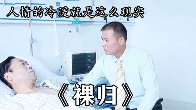 秦军竟是大公司的董事长,资产上亿