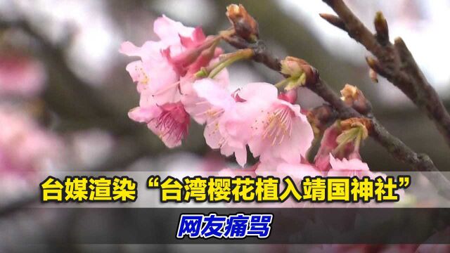 台媒渲染“台湾樱花植入靖国神社”,网友痛骂