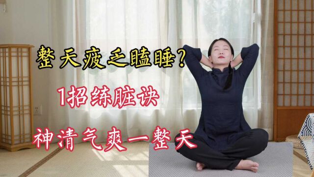 整天疲乏嗜睡,精神不振,晨起1招练脏诀,呼出浊气,神清气爽