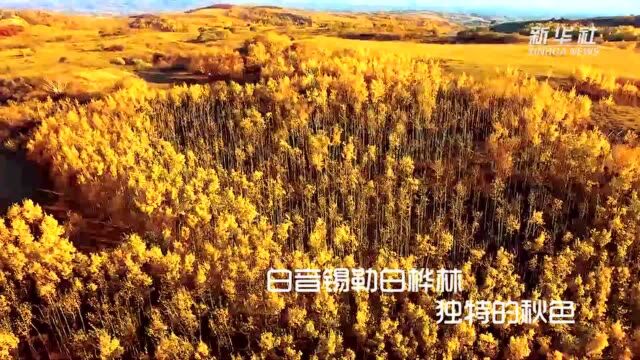 千城胜景|四季ⷮŠ锡林浩特