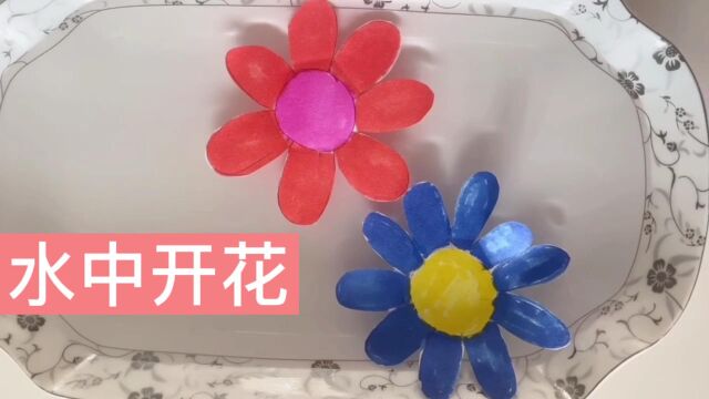 科学小实验:水中开花