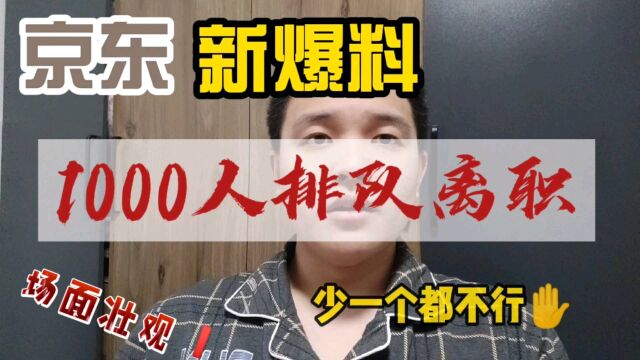 京东被曝 1000 多号人排队办离职