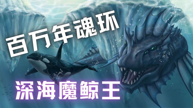  《斗罗大陆》盘点唐三拥有的所有魂环,17个十万年、1个神级