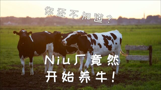 你还不知道?Niu厂竟然开始养牛!