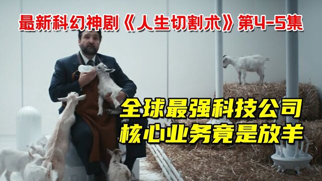 太离谱!全球最强科技公司,核心业务竟然是放羊!最新高分科幻神剧《人生切割术》第45集