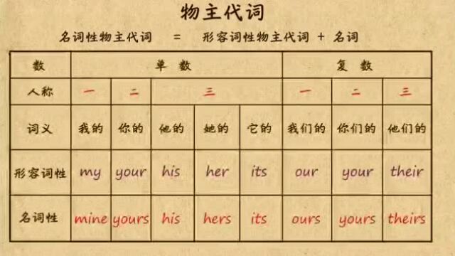 小学英语语法物主代词(视频版)