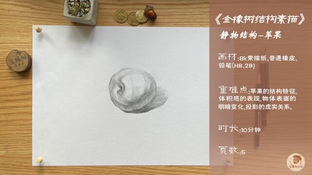 2.金橡树绘画静物结构素描《卧着的苹果》