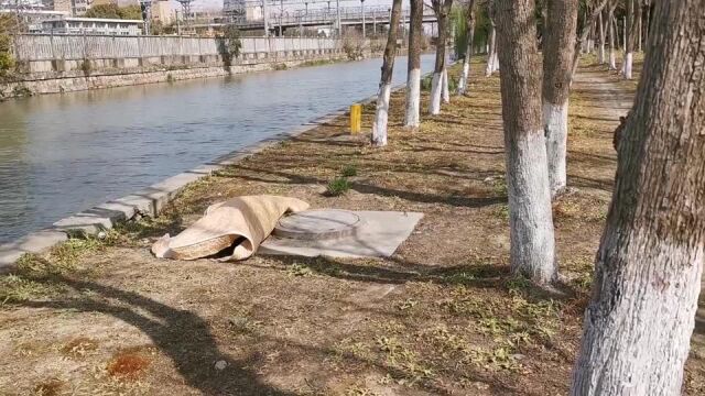 上海疫情:上海疫情严峻,打工仔没收入没钱租房,只能暂住桥底,加油!