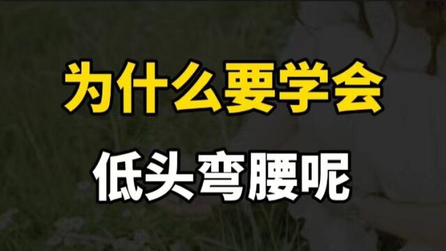 人为什么要学会低头弯腰呢?看懂这个故事你将受益一生