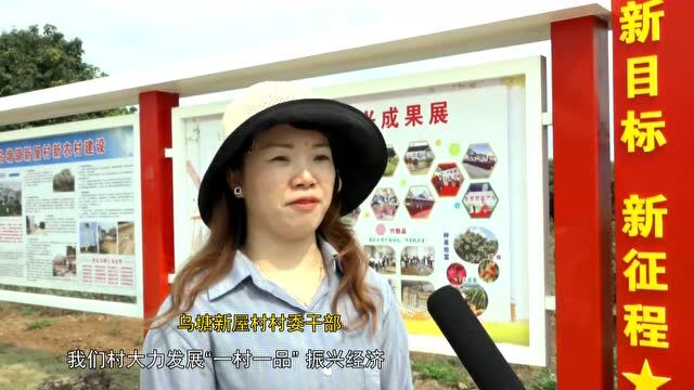 乌塘新屋村:打造精美乡村 “荔枝之乡”大变样